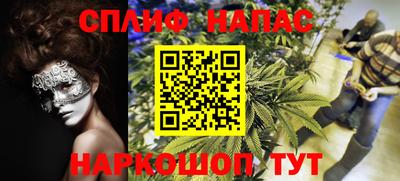 jwh Гатчина