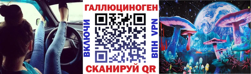 как найти   Кубинка  Псилоцибиновые грибы мицелий 