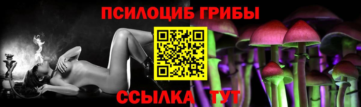 Кубинка  купить   Вход с VPN  Псилоцибиновые грибы Cubensis 